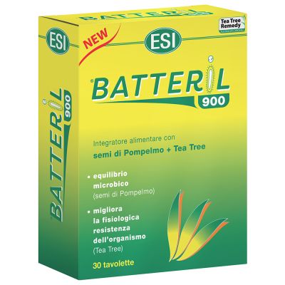 Batteril 900