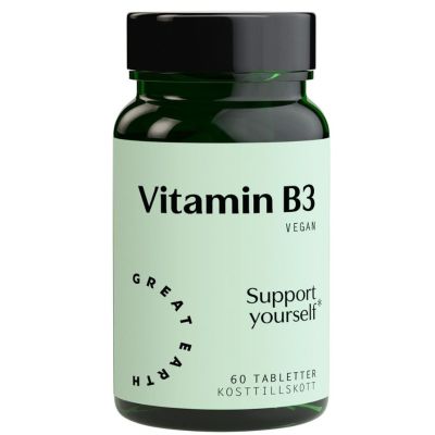 Great Earth Vitamin B3-Niacin x 60 Tablets